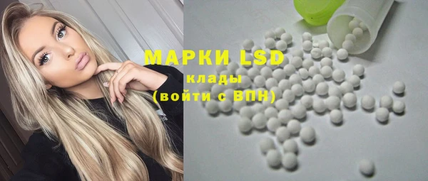 ГАЛЛЮЦИНОГЕННЫЕ ГРИБЫ Липки